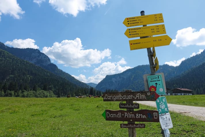 Almenrausch: mit dem E-Bike lassen sich vile idyllische Fleckchen erreichen. Eine gute Fahrtechnik vorausgesetzt.