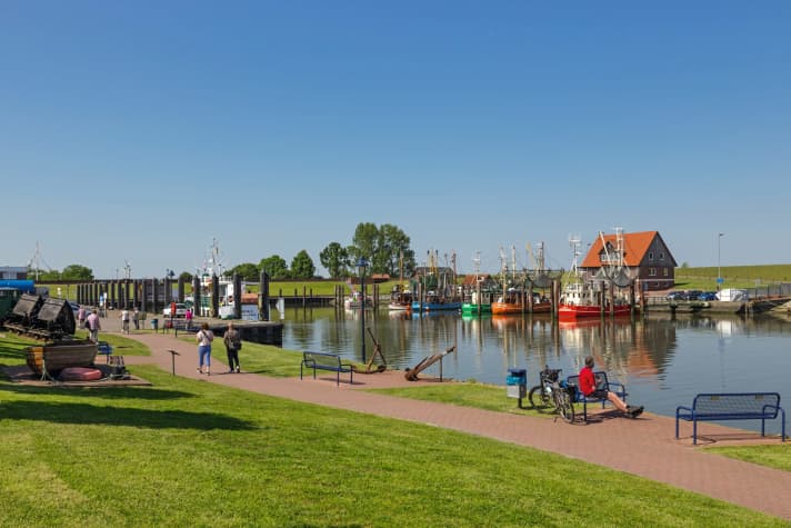 Simply take a break from cycling and watch the hustle and bustle: at the small fishing harbour of Fedderwardersiel in the ADFC Wesermarsch cycling region