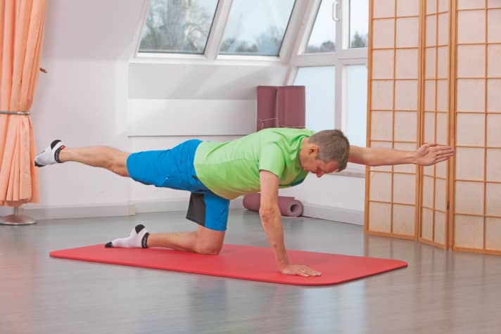 Train your balance: the four-footed stance