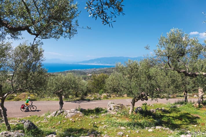 The destination of Kálamata already in sight. Archaic olive grove near Kato Doloi