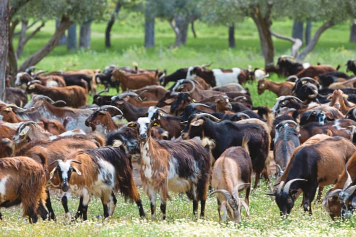 Die beste Nachricht für Radreisende: Bei aller Schönheit eignet sich die Máni wegen ihrer Lage und Topografie nicht zum Massentourismus