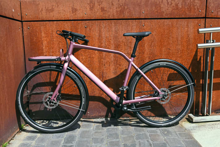 The Schindelhauer Gustav Moonlight Rose Edition