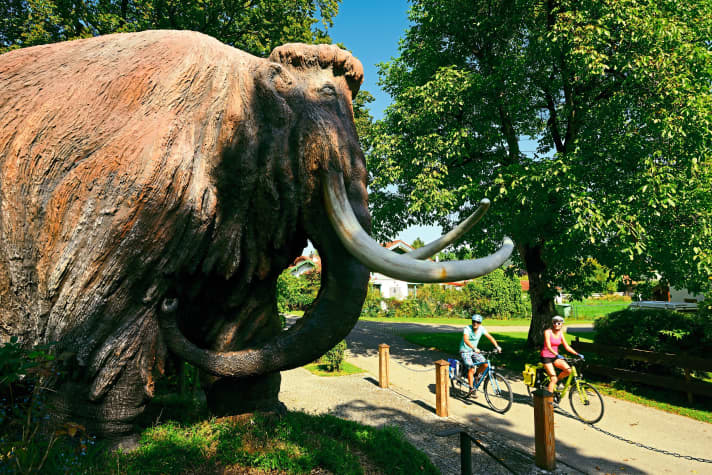 Lohnender Abstecher vom Traun-Alz-Radweg: Das Mammut-Museum in Siegsdorf