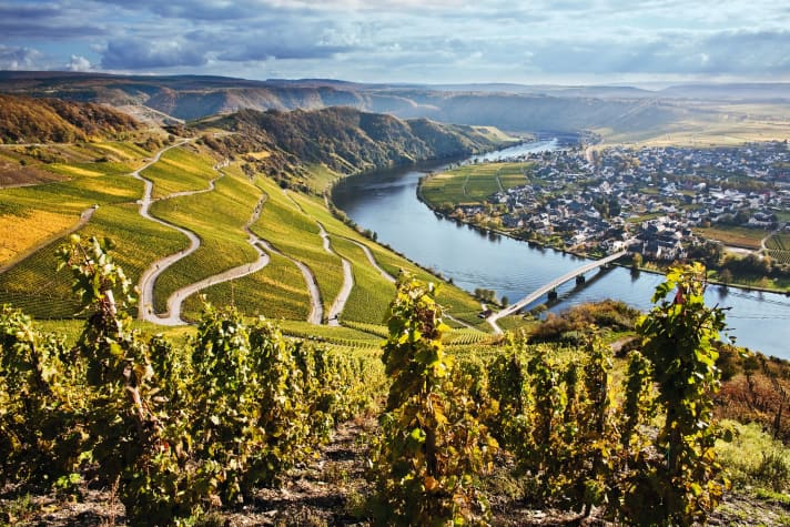 On cycle tours through the wine regions, the rule is: enjoy the view first, then the wine.