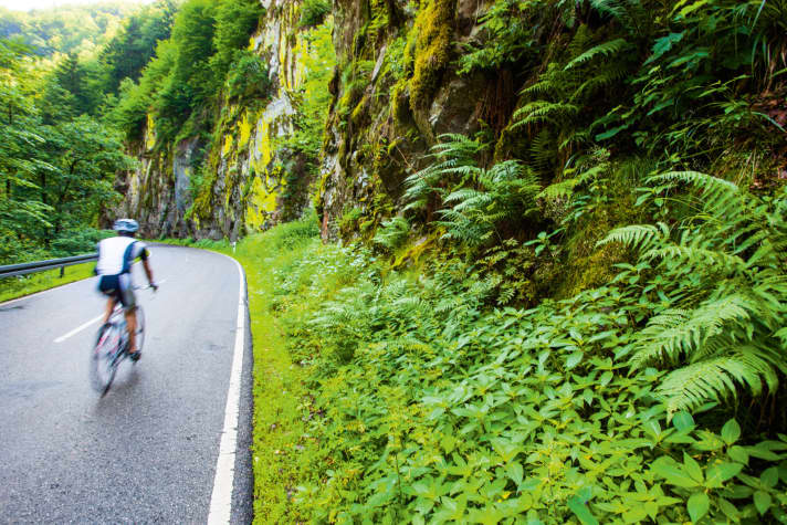   Hotzenwald - Black Forest