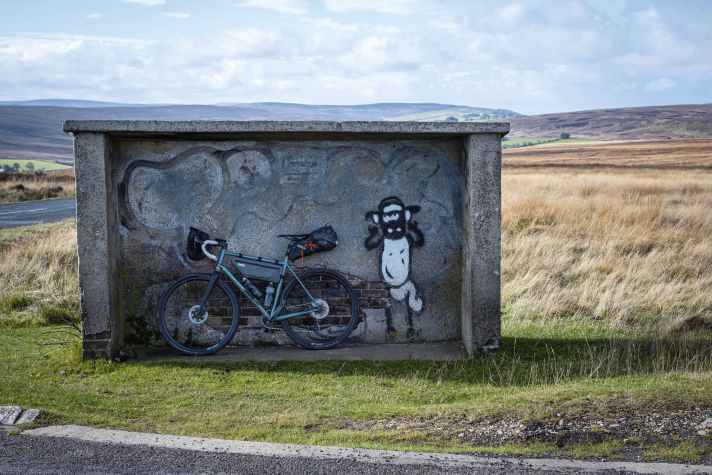Sheep are omnipresent in the North York Moors National Park. Even "Shaun" occasionally drops by