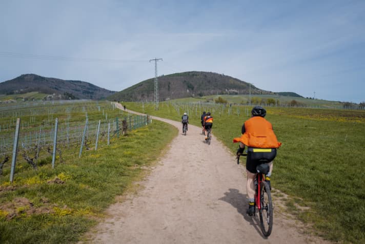 Vom Wald in die Weinberge
