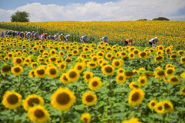 Die Strecke von Dole nach Belfort war mit 205,8 Kilometern die längste Etappe der Tour de France 2026