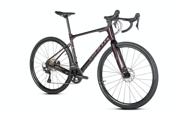   Giant Revolt Advanced 2