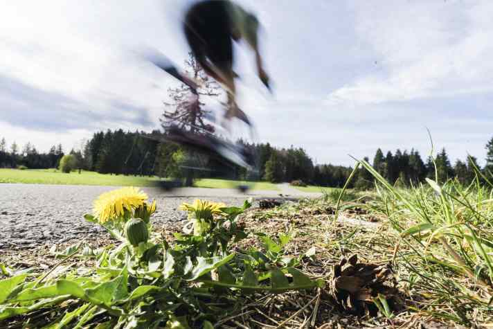 Schnell wie der Wind mit Muskelkraft: Das Rennrad ist eine High-Speed-Maschine