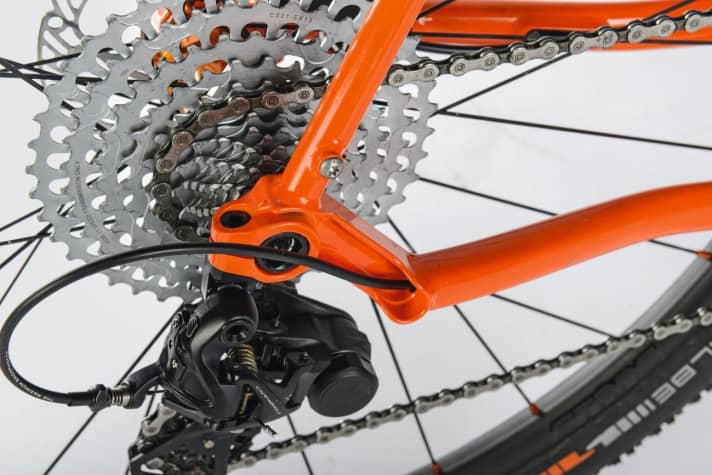   Die Campagnolo- Ekar-Schaltung mit nur einem Kettenblatt und 13 Ritzeln überzeugt am Rennstahl.