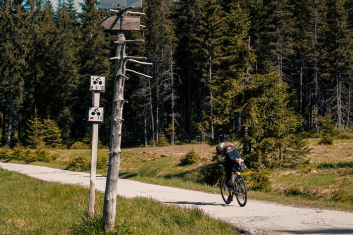 Max is estimated to have driven on the trailers about a third of the time. His hands thanked him for it.
