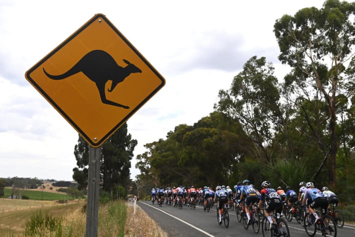 Bei Herren und Damen der Saisonauftakt im Straßenradsport: Die Tour Down Under 2023. Hier im Bild die Damen, deren Rennen nur drei Tage dauerte.