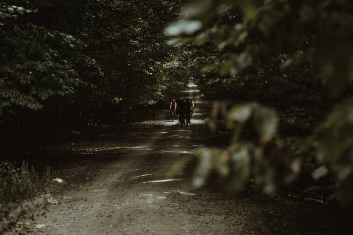 Ein Gravelweg im Wald, einige Radfahrerinnen der Bikepacking-Tour im Taunus radeln auf dem Weg