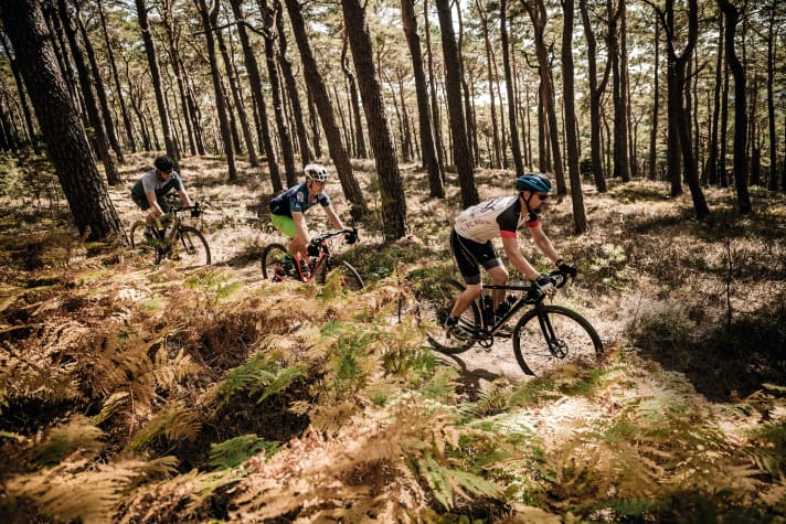 Gravel bike tyres must provide sufficient grip off-road and at the same time roll well on asphalt. They do this best tubeless and with the right tyre pressure.