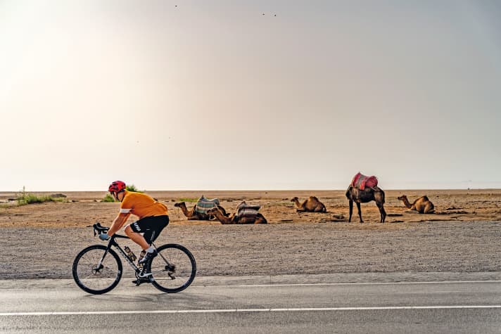 At Achakkar beach (Tour 1), just a few kilometres west of Tangier, you almost feel like you're in the desert