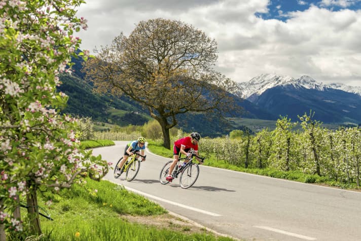 StorckRennrad pening