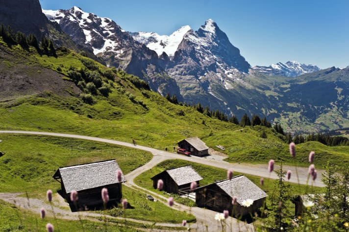 Tour 2: Bergriesen Mönch und Eiger (Bildmitte), von der Grossen Scheidegg (1.962 m) aus betrachtet