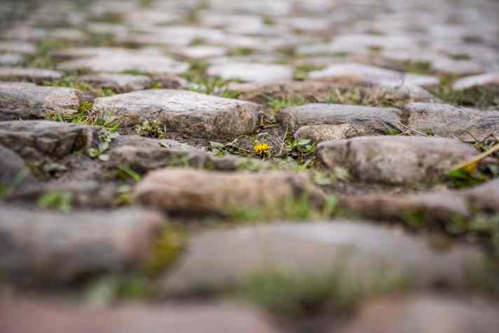 Das Kopfsteinfplaster im Wald von Arenberg