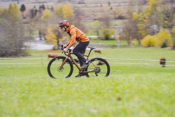 On flat terrain, you can switch off the motor, because you'll be over the permitted 25 km/h in no time at all before the motor cuts out. On steep climbs, the 55 Nm Mahle motor gives a pleasant push and takes the fear out of the mountain - for all those who are scared of mountains.