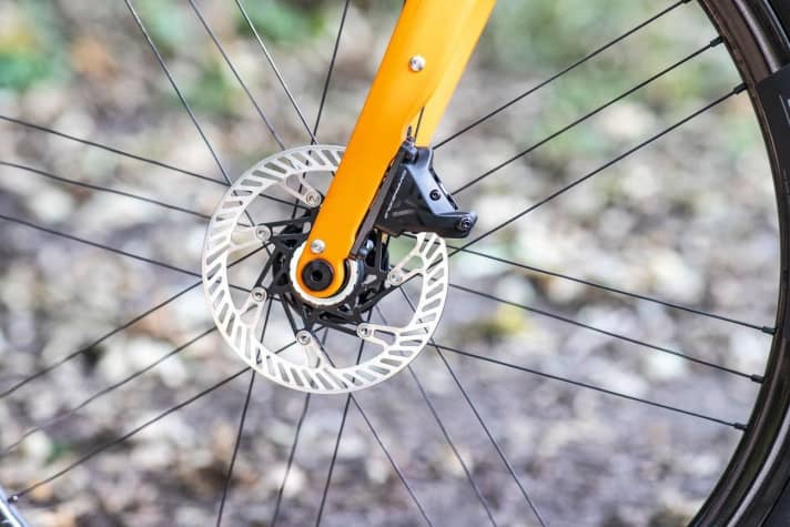   Problem-free: the Campagnolo disc brake