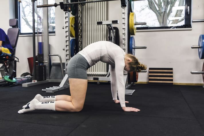 Fitness exercises: Cat-cow