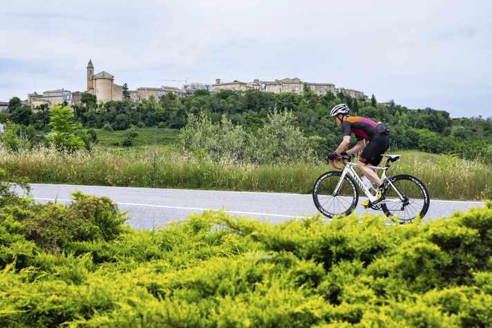 Between the sea and the mountains, the climate is more humid and the vegetation greener than expected