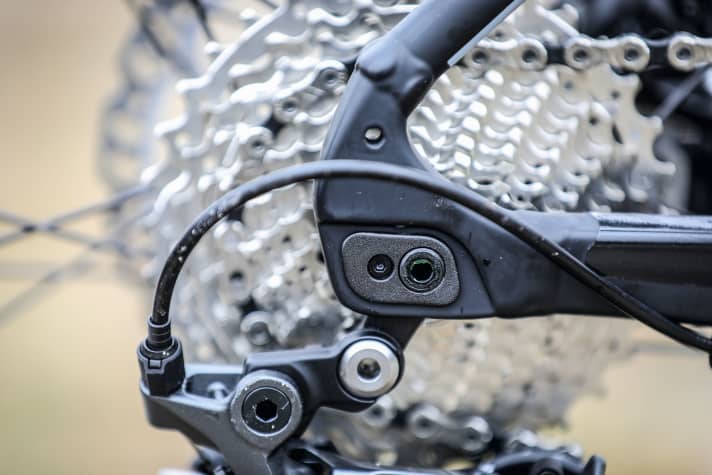 The Giant "buys" the tyre clearance with an adjustable dropout. This also allows the riding characteristics to be adapted to the terrain
