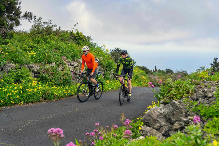 Durchs Freiluft-Gewächshaus: an der Steilküste über Garachico.
