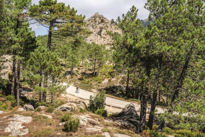 Long climb: Behind the mountain village of Zonza, the ascent to the Col de Bavella begins (Tour 4)