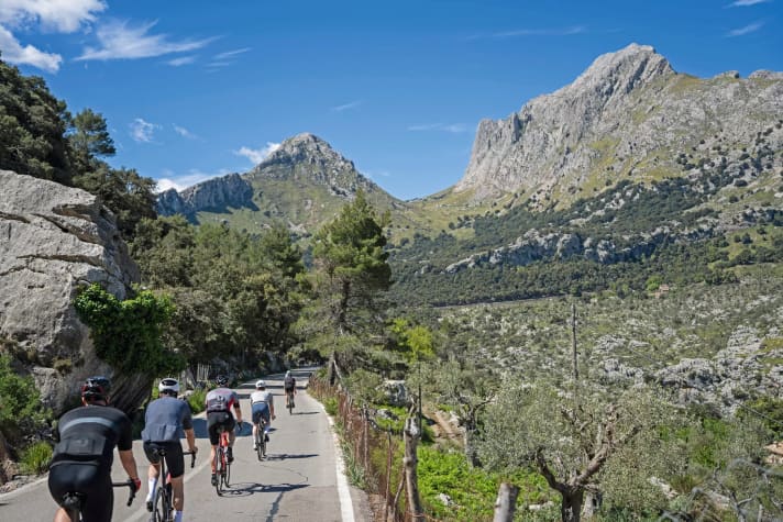 Inselberge: Sieht höher aus als es ist: Die meisten Gipfel des küstennahen Tramuntana-Gebirges sind nur knapp über 1.000 Meter hoch.