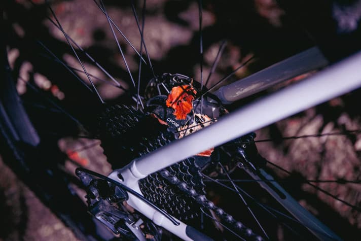 Mit einer Shimano GRX 11-fach-Schaltung ermöglicht, das Torino lange Touren sowie Höhenmeter oder hohe Geschwindigkeiten zu fahren – sowohl mit als auch ohne eingeschalteten Motor jenseits der elektrisch unterstützten 25 km/h Grenze.