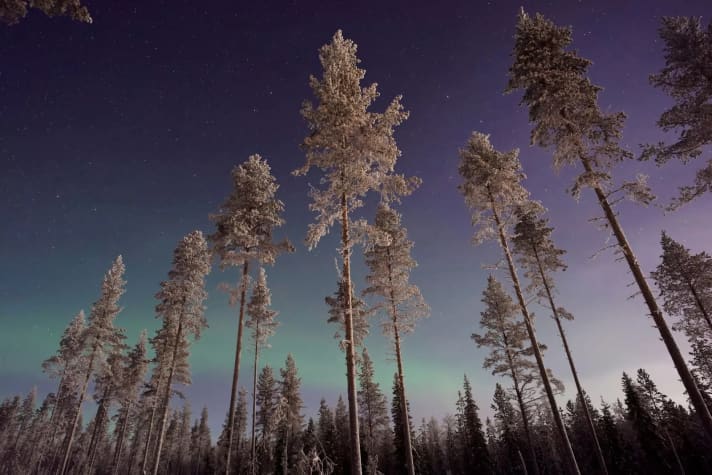 Die Nordlichter in Lappland, Finnland entdecken