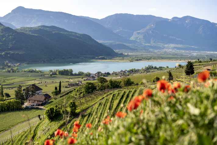 Blick auf den Kalterer See und die umliegenden Berge