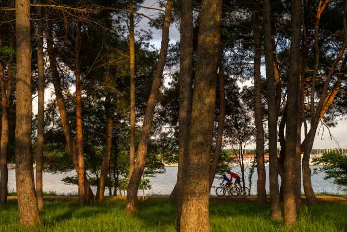 tour/nova-eroica-istria-3_323452163e8714a62bce98bb59e7b76e