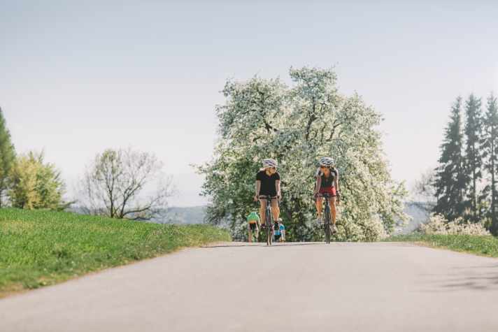 Zur Blütezeit der Obstbäume zeigt sich das Alpenvorland bei Wels von seiner schönsten Seite. Wer sportliche Herausforderungen liebt, startet im April beim Kirschblütenrennen.