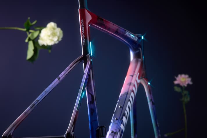 Demi Vollering Special Edition of the Specialized S-Works Tarmac SL8