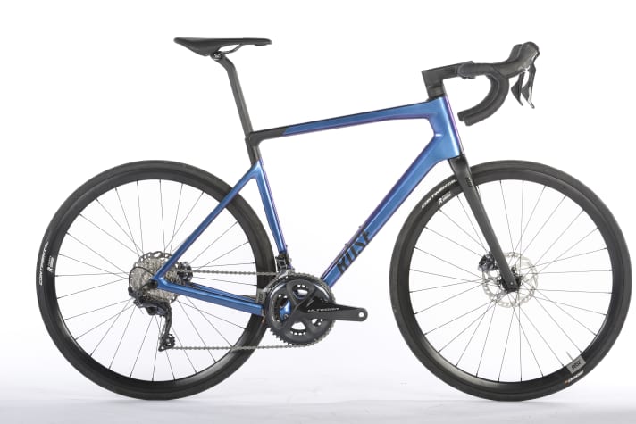 The Reveal Four Disc Ultegra from Rose