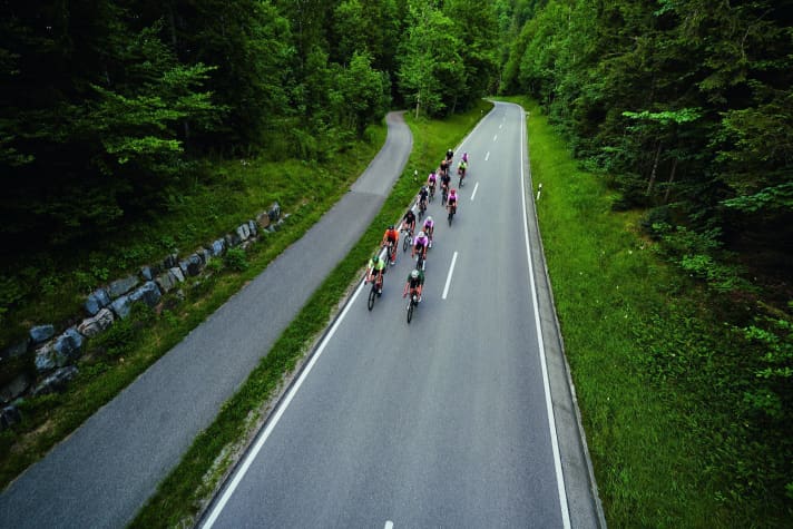 At a steady pace: the troop stalks through dense forest towards Sylvensteinsee.