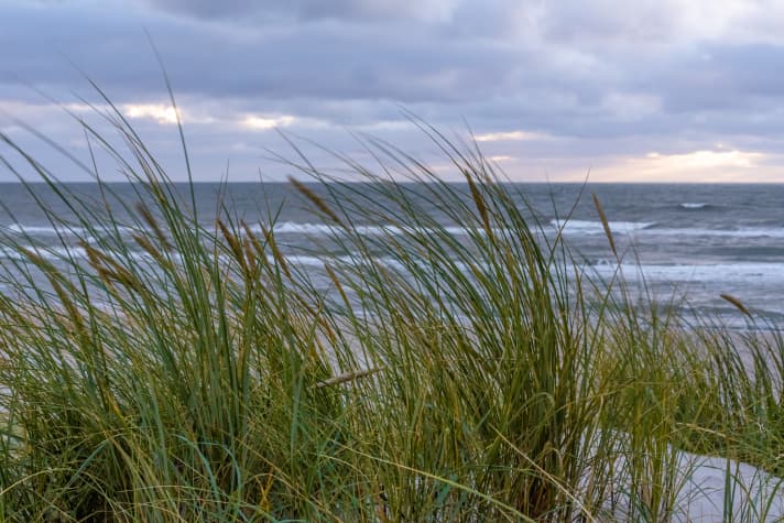 Reizklima an der See stärkt die Abwehrkräfte