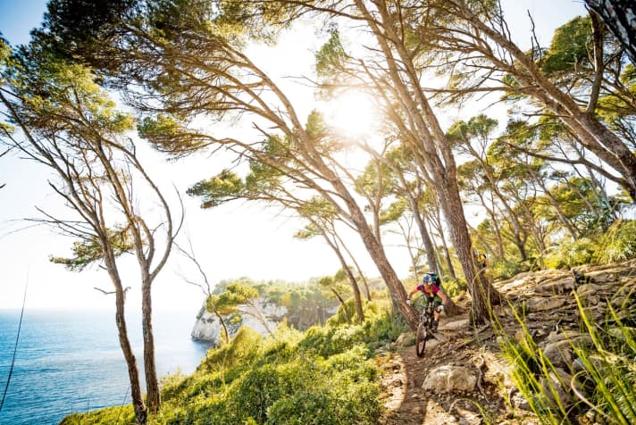   On the south coast, the trail leads into sparse forests. In the south, the path sometimes touches the water. It gets windy in the north.