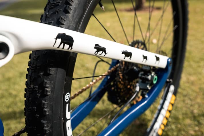   The Big Five can be seen on the seat stays. Bauer will not get to see the animals at the Cape Epic.