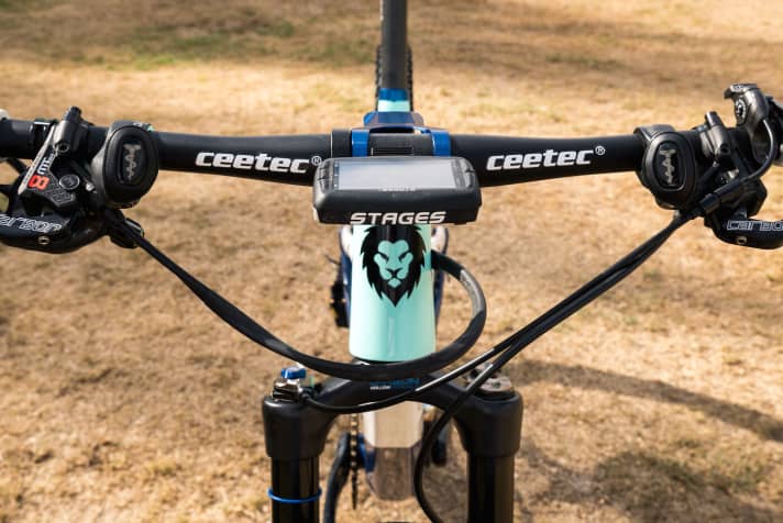   Am Steuerrohr prangt ein Löwe.