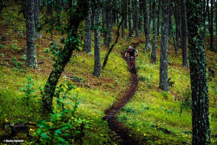The Cieneguilla Trail in Mexico starts out in the jungle and, after six kilometres, surprisingly ends in a steppe.