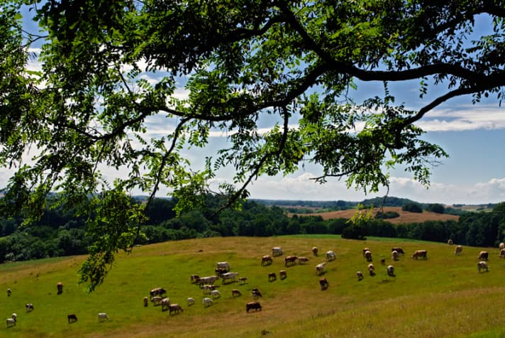   Schöne Aussichten aufs Mecklenburger Seenland hat man vom Röthelberg aus (Tour 2) 