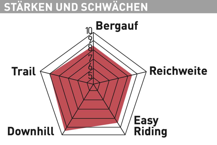 Santa Cruz Heckler S MX- Testdiagramm