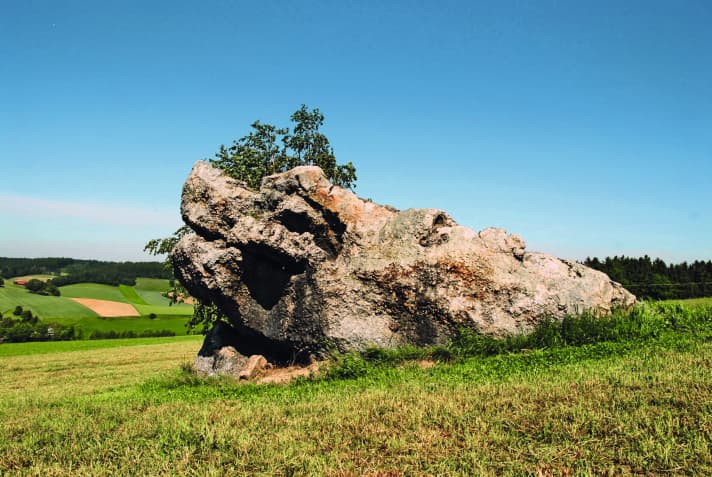 Like a fossilised lizard: the "crocodile stone" near Bad Birnbach