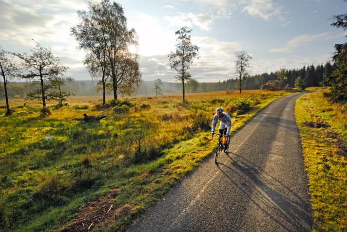   Parc naturel des Hautes Fagnes - Eifel