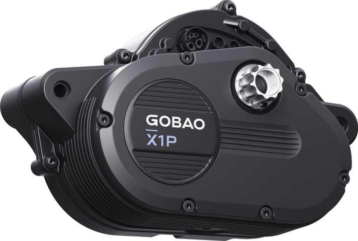 From China with Love... äh, Power! Gobaos MGU. Und was macht Bosch?