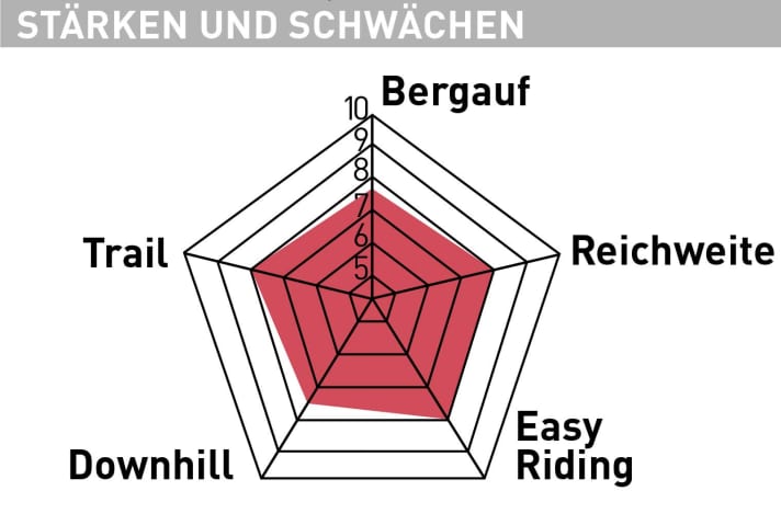 Strengths and weaknesses